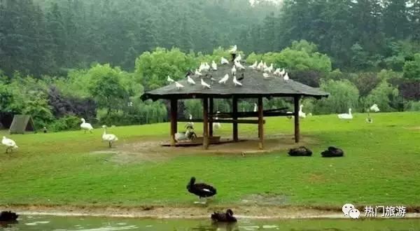 安吉风景好的旅游景点_安吉旅游景点排名前十_安吉风景好的地方