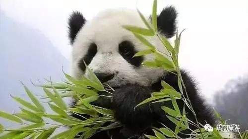 安吉风景好的旅游景点_安吉旅游景点排名前十_安吉风景好的地方