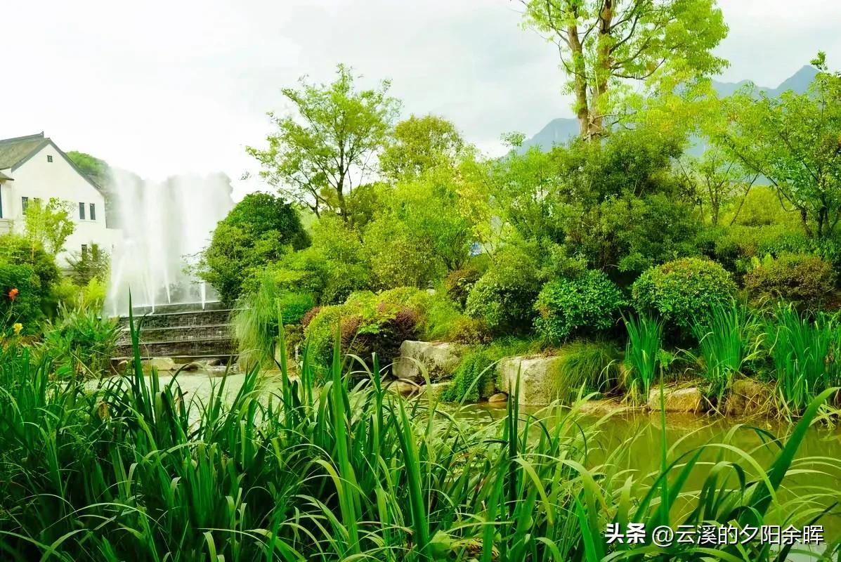 安吉免费景点推荐_安吉旅游免费的景点_安吉免费的旅游景点