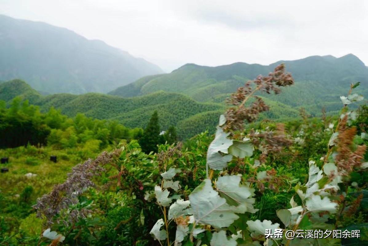 安吉旅游免费的景点_安吉免费景点推荐_安吉免费的旅游景点