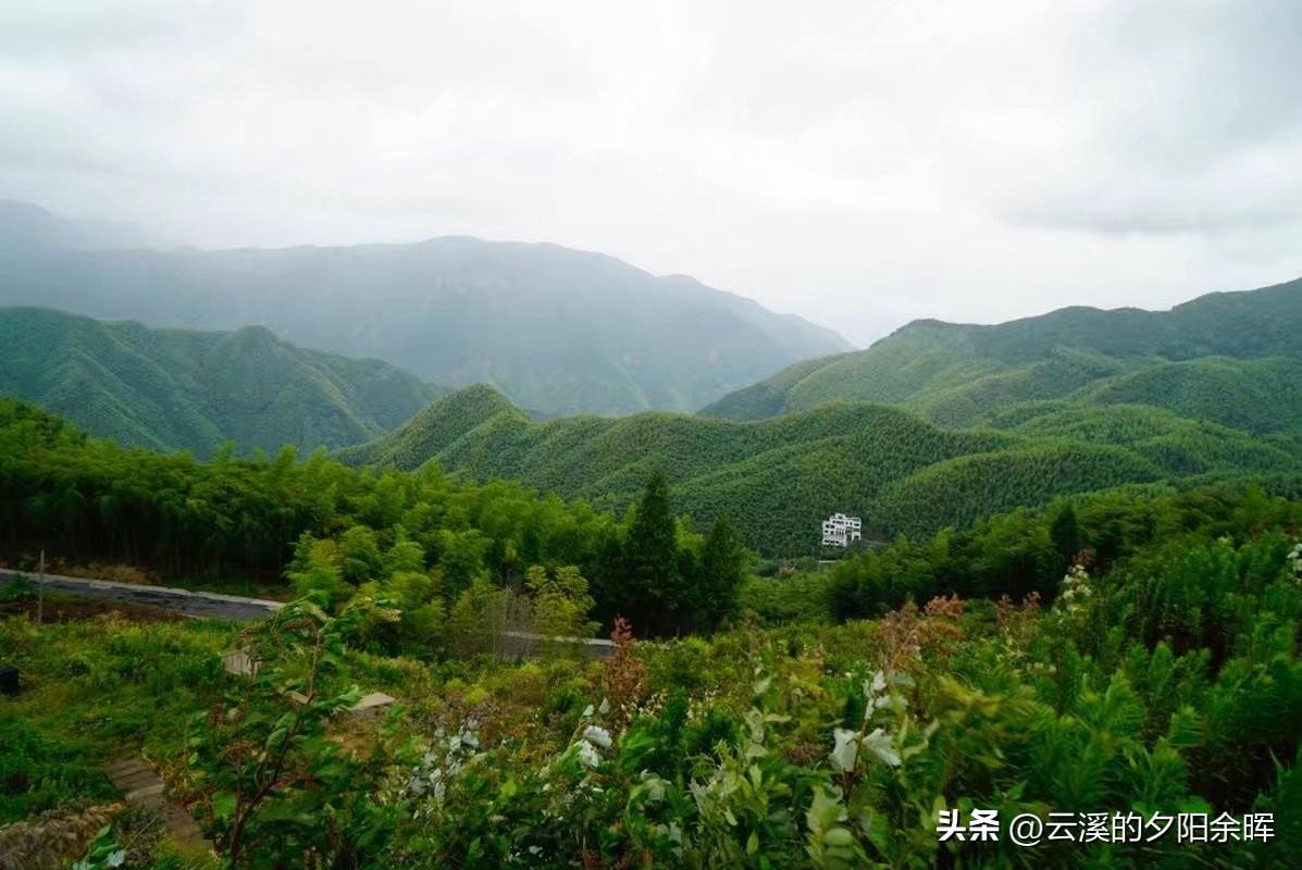 安吉免费的旅游景点_安吉免费景点推荐_安吉旅游免费的景点