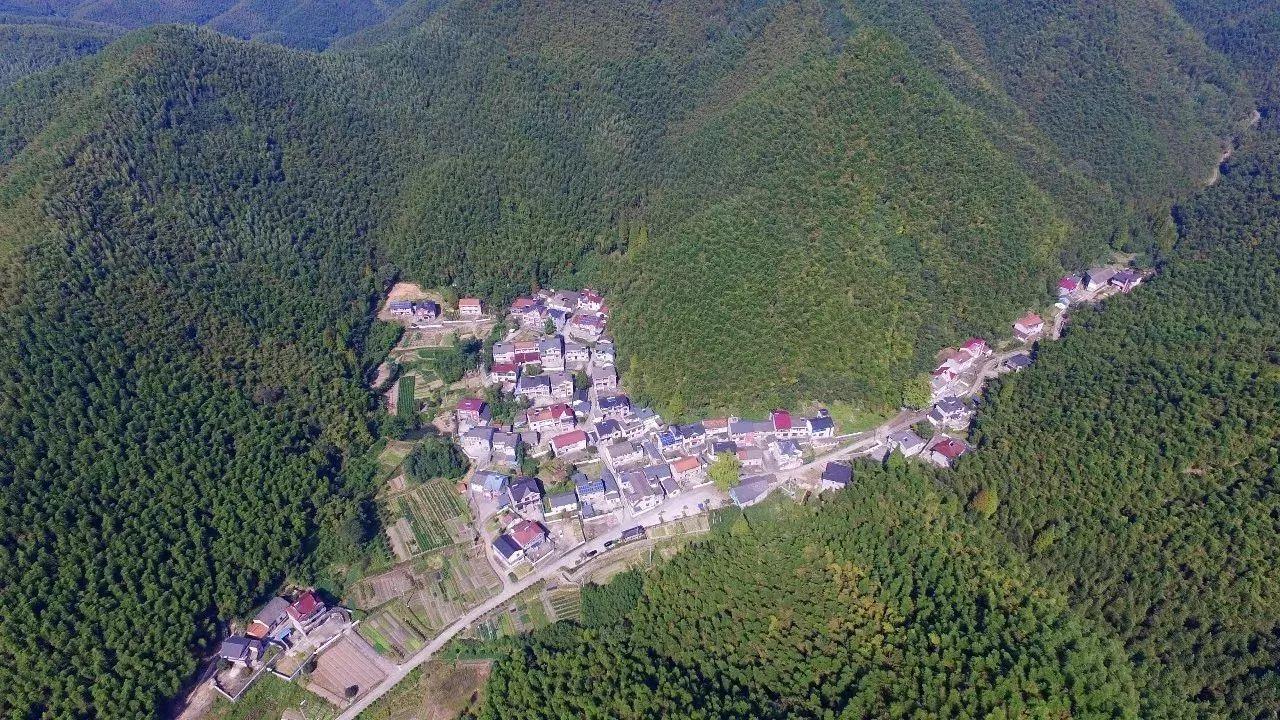 安吉单身公寓多少钱一套_安吉单身公寓出租_安吉公寓单身房出租