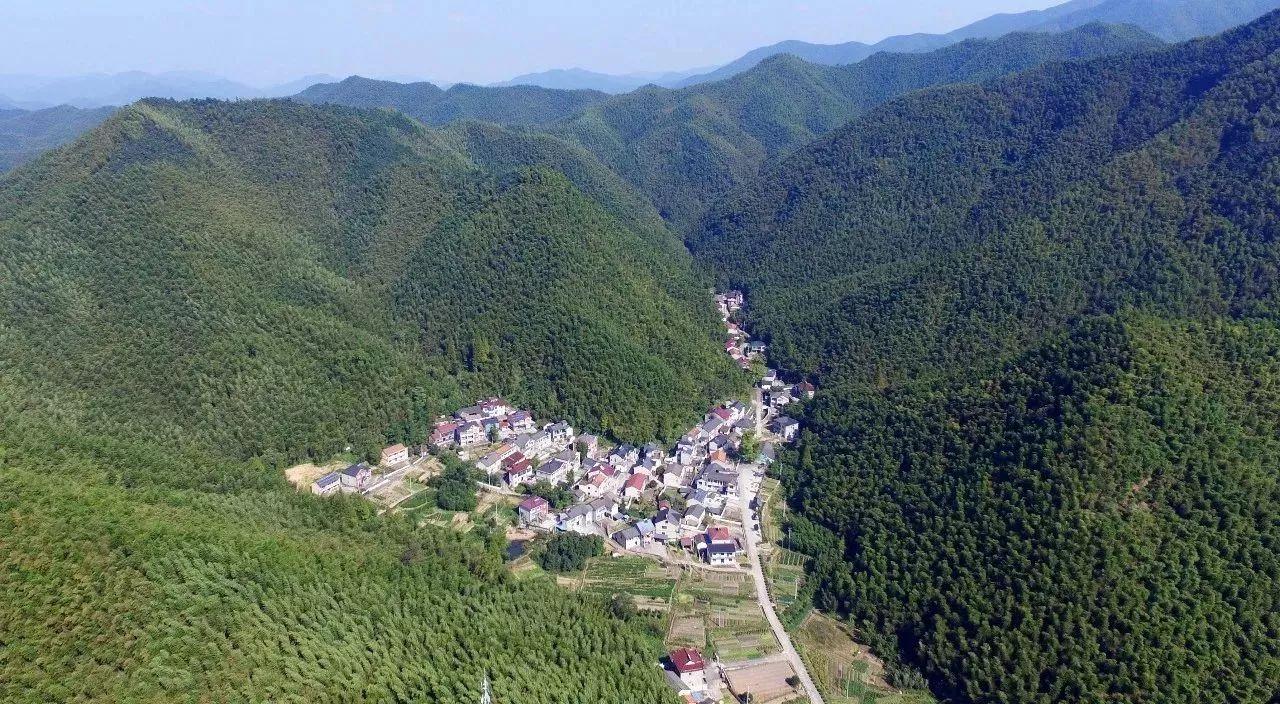 安吉单身公寓出租_安吉公寓单身房出租_安吉单身公寓多少钱一套