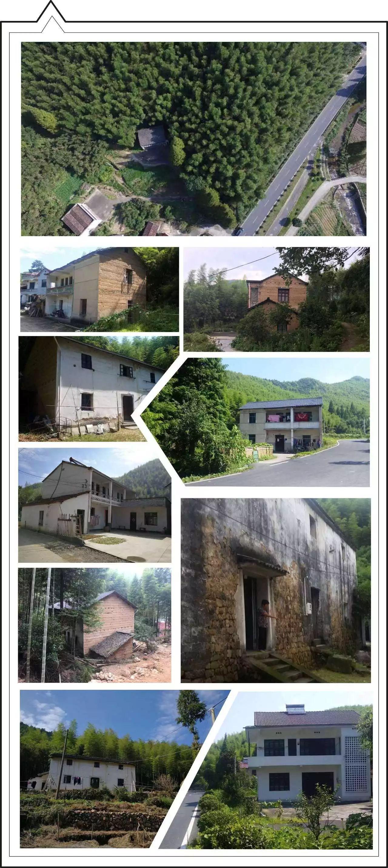 安吉公寓单身房出租_安吉单身公寓多少钱一套_安吉单身公寓出租