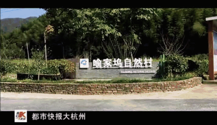安吉单身公寓多少钱一套_安吉单身公寓出租_安吉公寓单身房出租