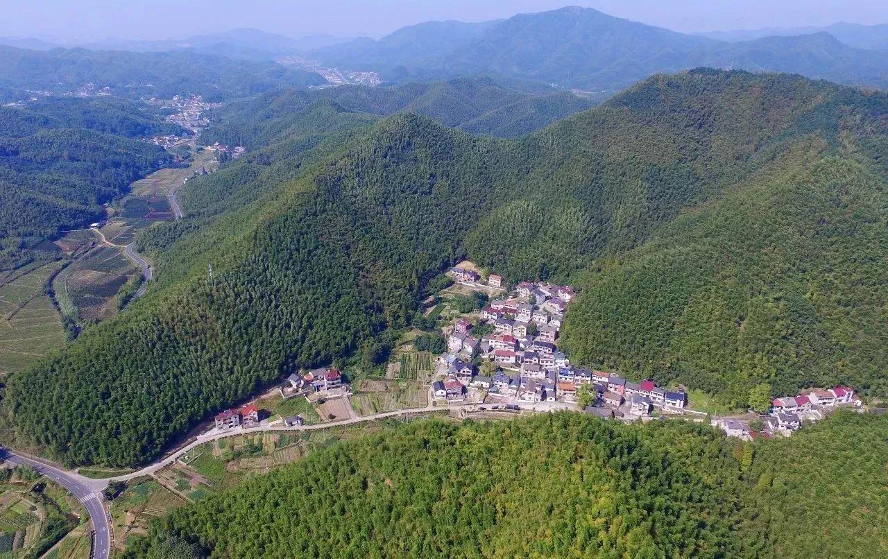 安吉单身公寓多少钱一套_安吉公寓单身房出租_安吉单身公寓出租