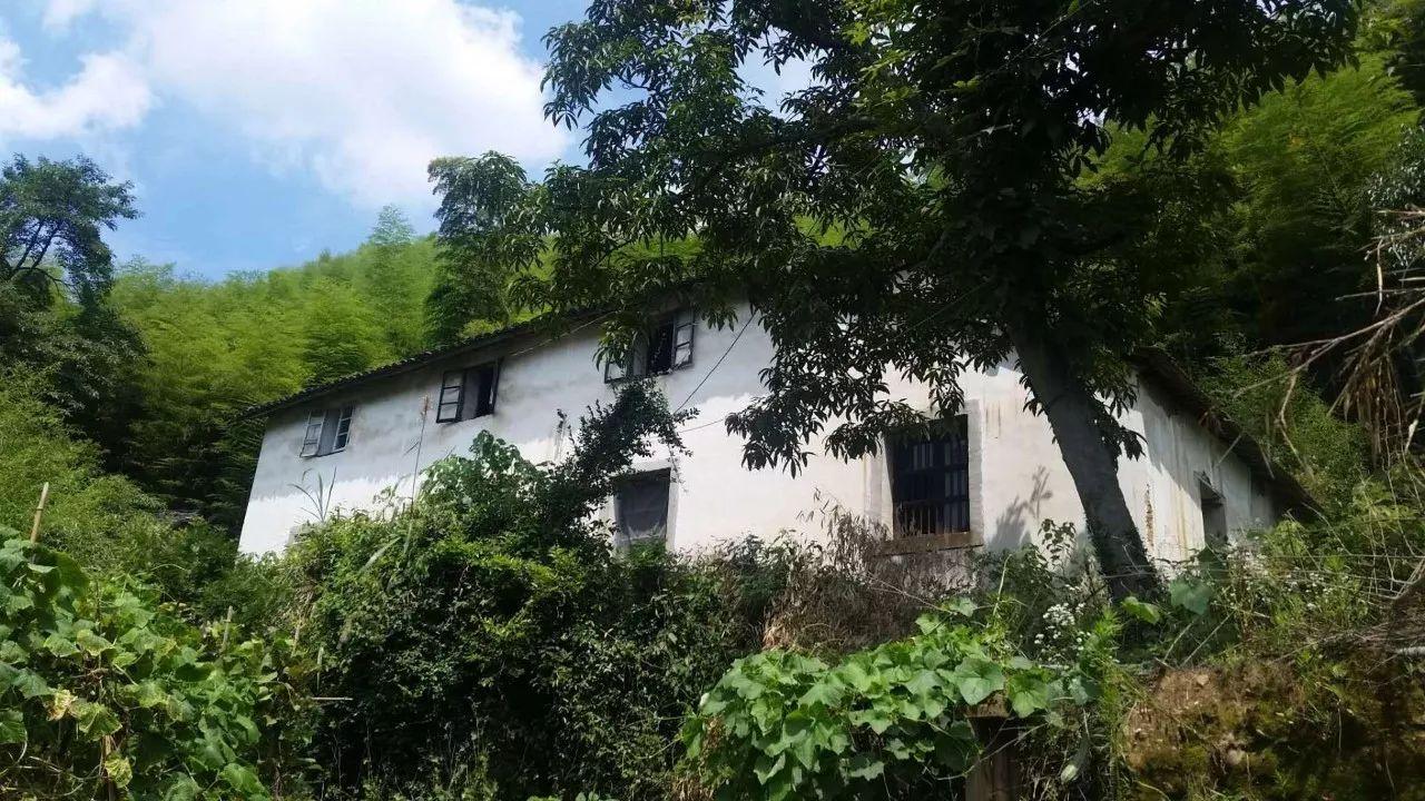 安吉单身公寓多少钱一套_安吉公寓单身房出租_安吉单身公寓出租