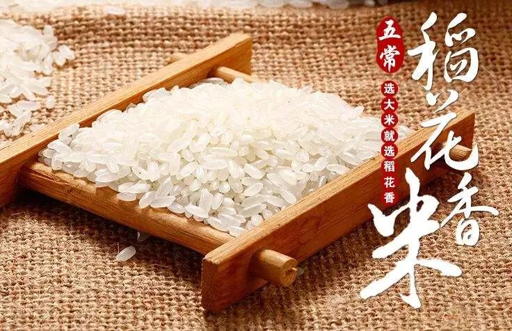 正宗安吉珍稀白茶_茶叶安吉白茶价格_安吉特产珍稀白茶价格