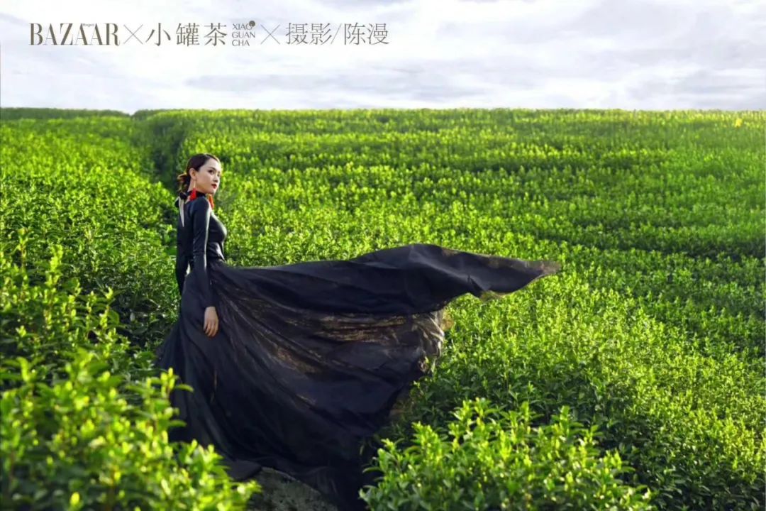 正宗安吉白茶价格_正宗安吉珍稀白茶_安吉特产珍稀白茶价格