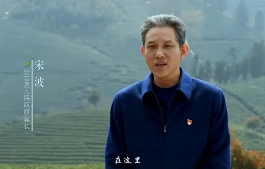 正宗安吉白茶价格_安吉特产珍稀白茶价格_正宗安吉珍稀白茶