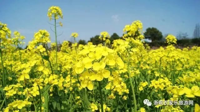 安吉旅游景点图片_景点安吉旅游图片大全_安吉旅游景点地图高清版大图