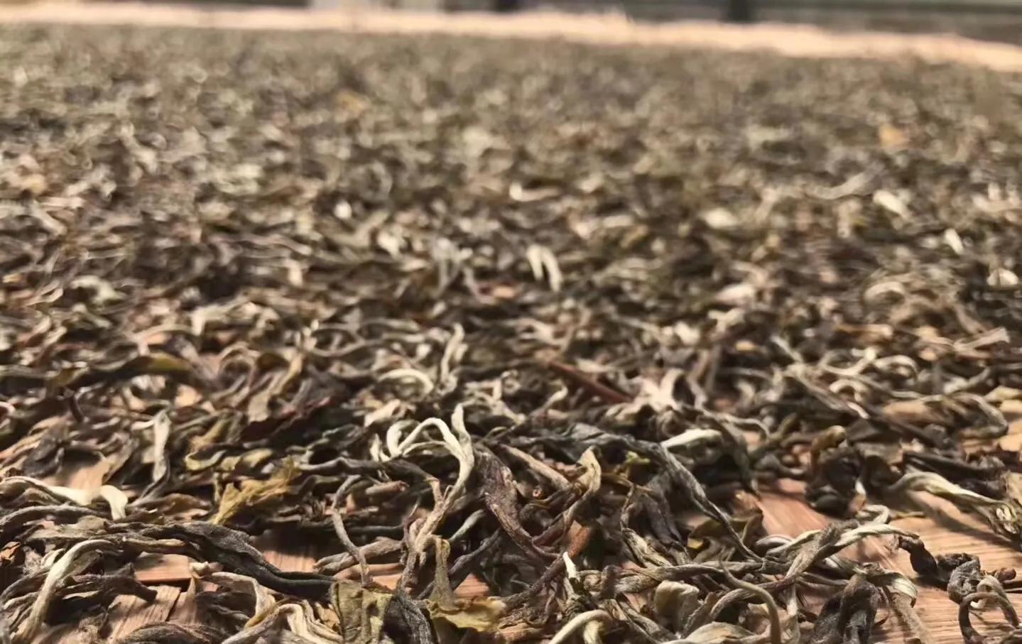 安吉白茶手工炒制全过程视频_安吉白茶手工炒制工艺_怎样炒好安吉白茶