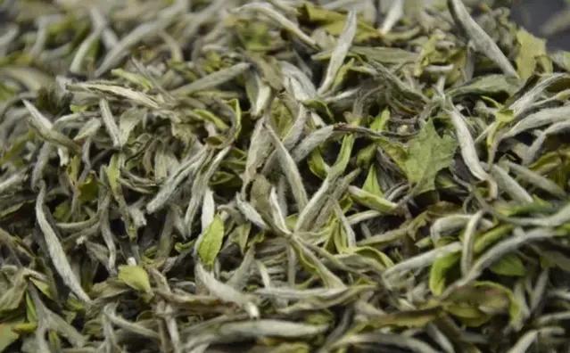 安吉白茶手工炒制工艺_怎样炒好安吉白茶_安吉白茶手工炒制全过程视频