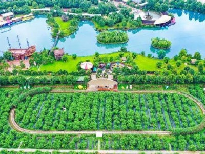 安吉竹博园和江南天池，周五免费开放的景区