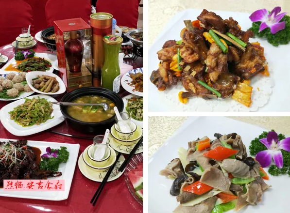 安吉竹博园游记_安吉竹博园导游图_游安吉竹博园有感