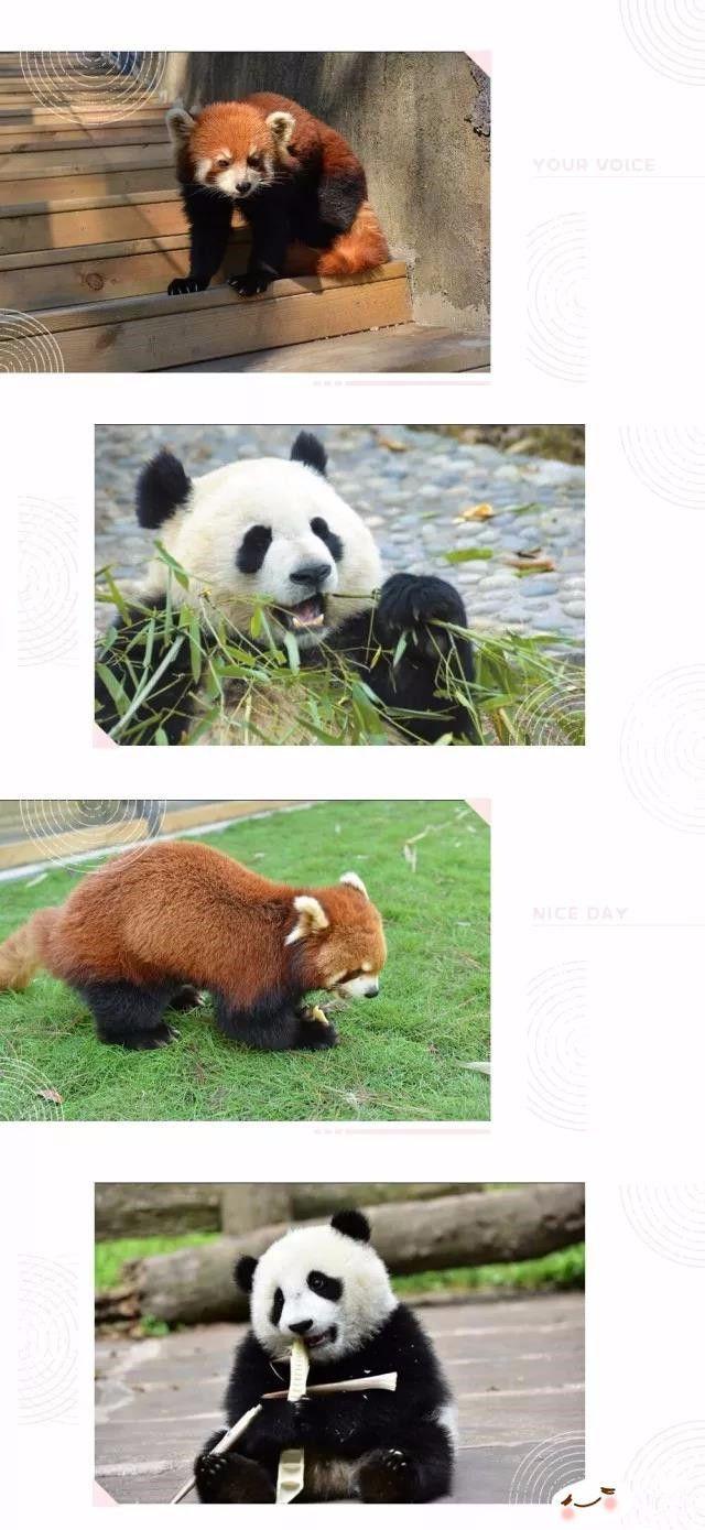 安吉竹博园导游图_安吉竹博园游记_游安吉竹博园有感