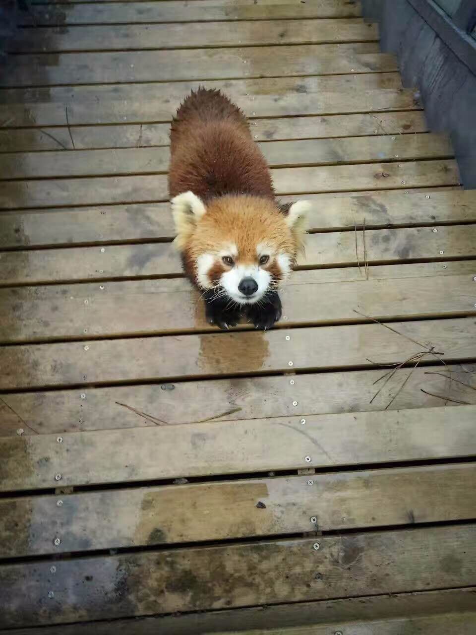 安吉竹博园游记_游安吉竹博园有感_安吉竹博园导游图