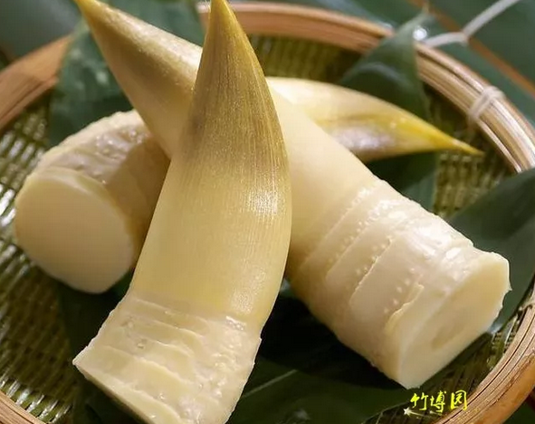 安吉竹博园导游图_游安吉竹博园有感_安吉竹博园游记
