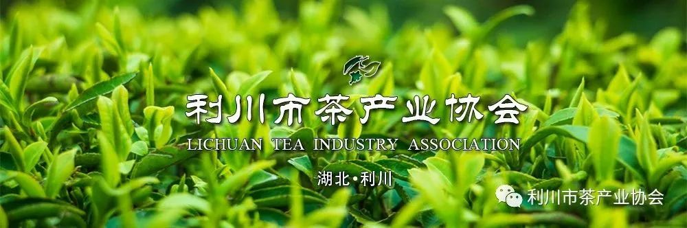 安吉白茶 品牌_安吉白茶品牌排行榜前十名_安吉白茶品牌排名