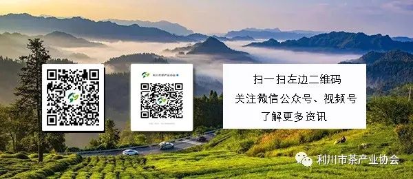 安吉白茶品牌排名_安吉白茶品牌排行榜前十名_安吉白茶 品牌