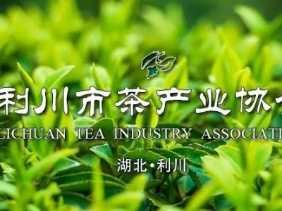 “安吉白茶”品牌建设成为中国茶叶品牌的巅峰！