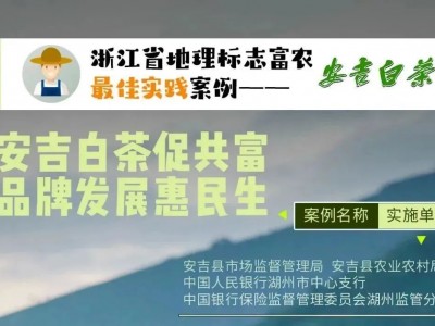 《安吉白茶促共富品牌发展惠民生》案例获评浙江省第一批地理标志富农最佳实践案例