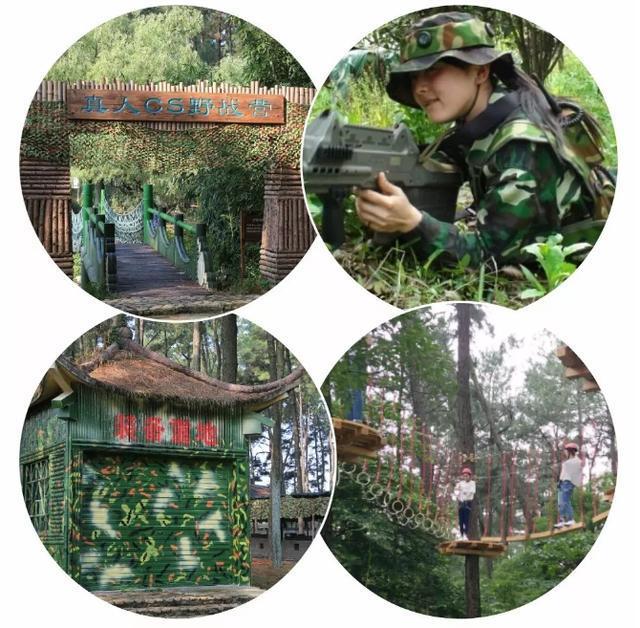 安吉竹博园游记_安吉竹博园游记作文_安吉竹博园导游图