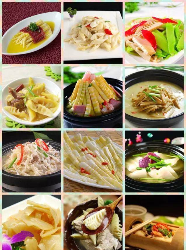 安吉竹博园游记_安吉竹博园游记作文_安吉竹博园导游图
