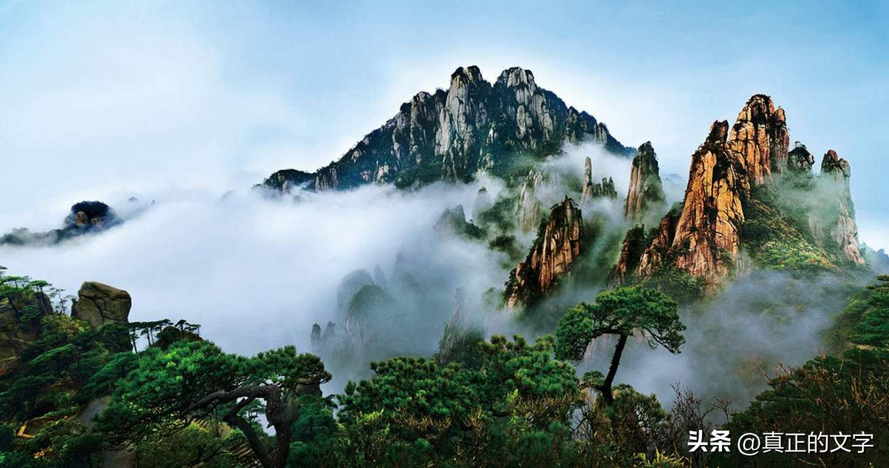 安吉白茶图标_安吉白茶书法_安吉白茶字体