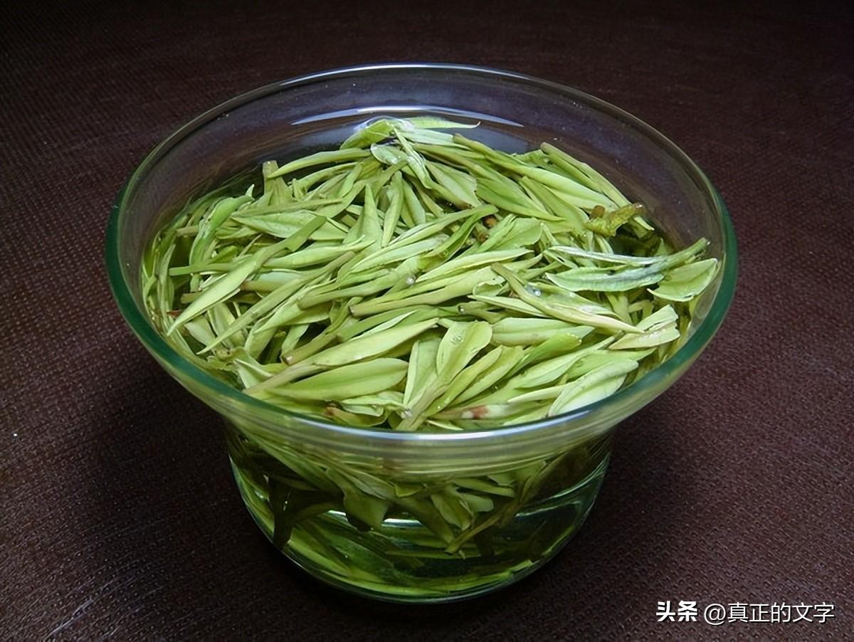 安吉白茶书法_安吉白茶图标_安吉白茶字体