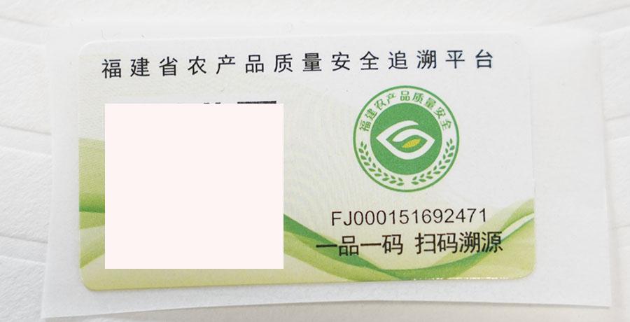 安吉白茶字体图片大全_安吉白茶图标_安吉白茶字体