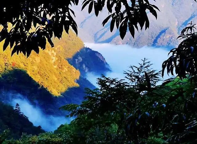 安吉石岭农家乐_安吉农家乐游记_安吉农家乐旅游