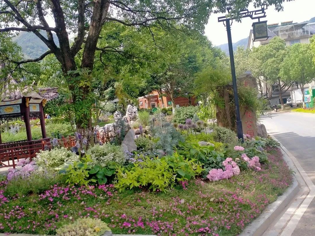安吉农家乐旅游_安吉农家乐游记_安吉石岭农家乐