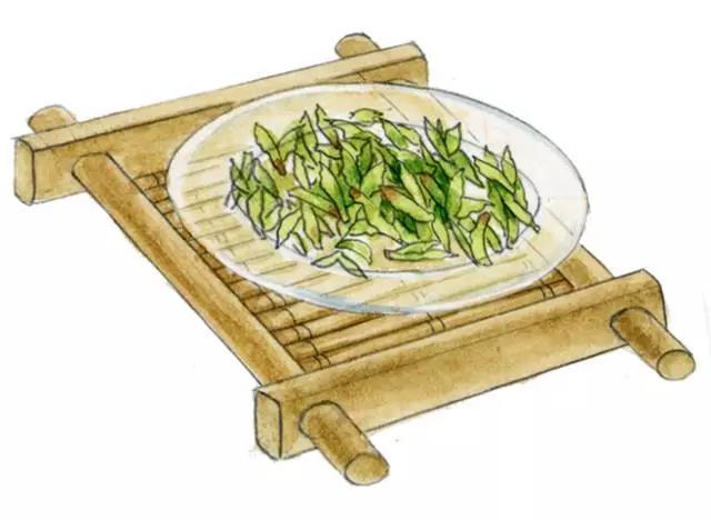 安吉白茶图标_安吉白茶字体图片大全_安吉白茶字体