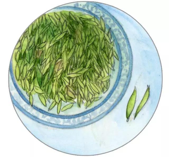 安吉白茶字体_安吉白茶字体图片大全_安吉白茶图标