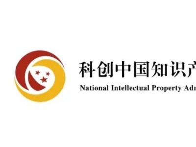 滨海新区市场监管局副局长李加军莅临科创中国知识产权生态园