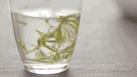 珍稀安吉白茶多少钱一斤_正宗安吉珍稀白茶_安吉珍稀白茶