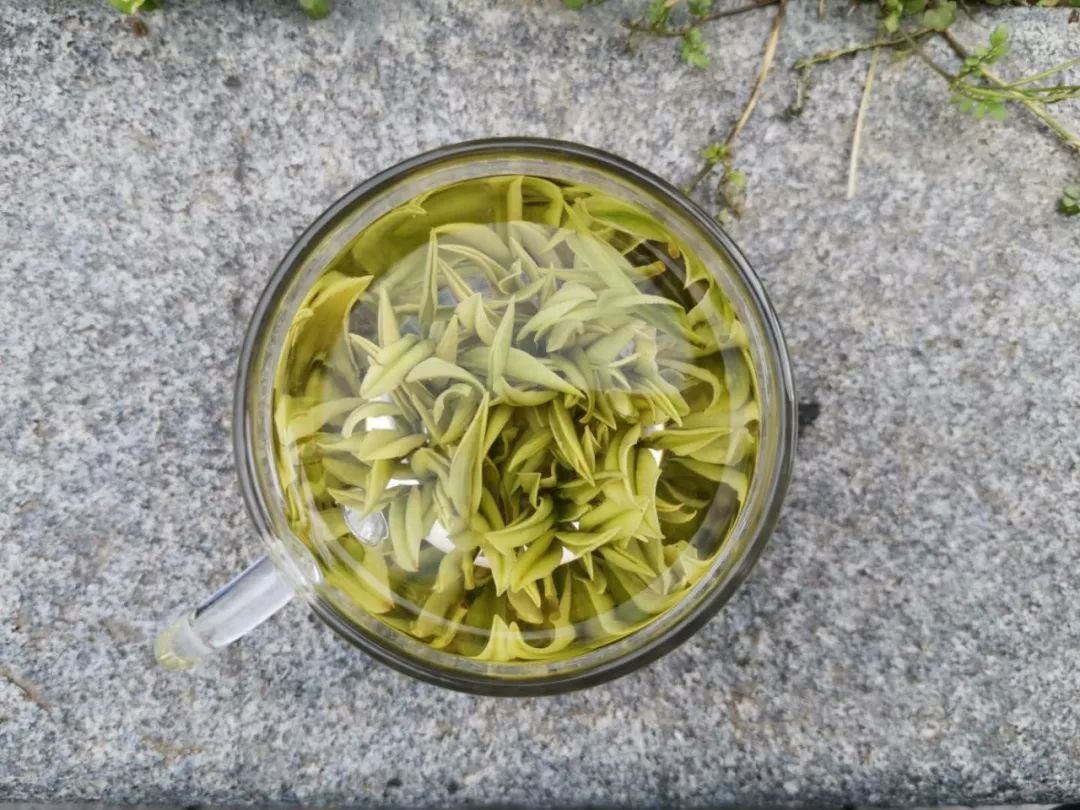 安吉珍稀白茶_珍稀安吉白茶多少钱一斤_正宗安吉珍稀白茶