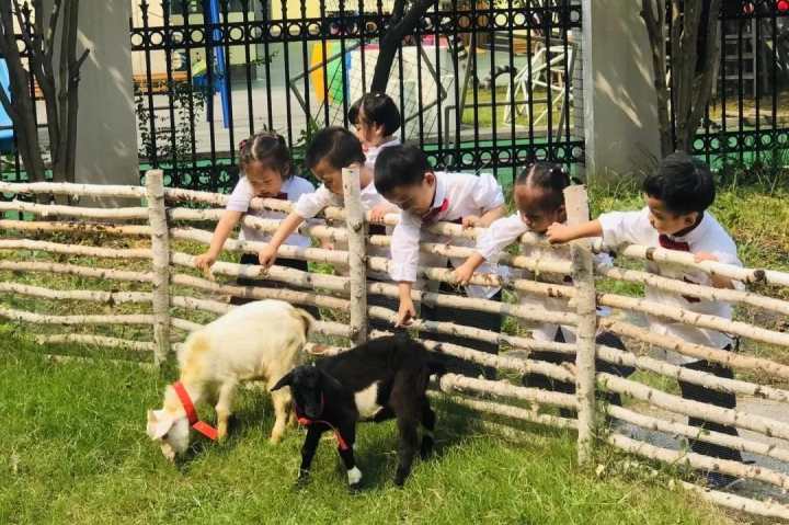 招聘安吉园路幼儿教师信息公示_安吉幼儿园老师招聘_安吉路幼儿园教师招聘