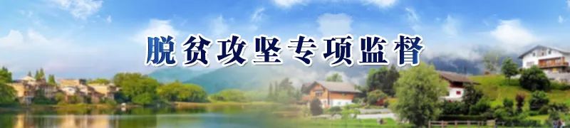 安吉白茶苗多少钱一颗_安吉白茶茶的功效_安吉白茶 茶苗