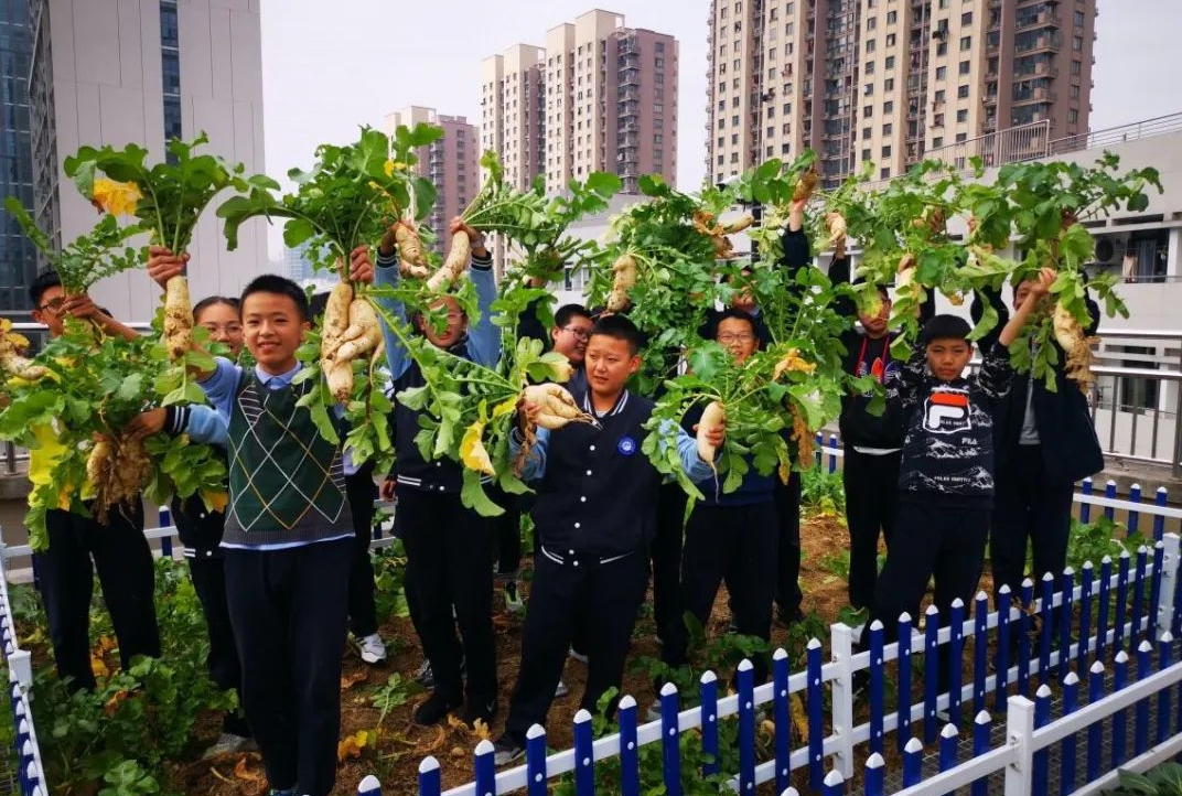 招聘安吉园路幼儿教师公告_安吉路幼儿园教师招聘_招聘安吉园路幼儿教师信息