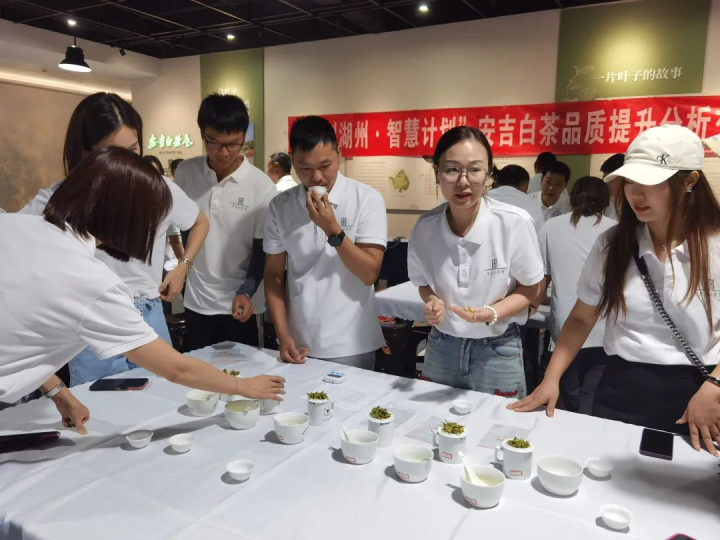 安吉最大的茶叶交易市场_安吉茶叶批发市场_安吉的茶叶市场