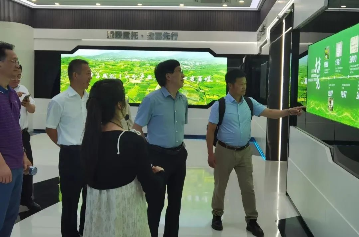 安吉的茶叶市场_安吉茶叶批发市场_安吉最大的茶叶交易市场
