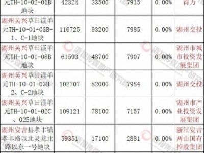 浙江安吉两山国有控股集团底价竞得两宗商住地