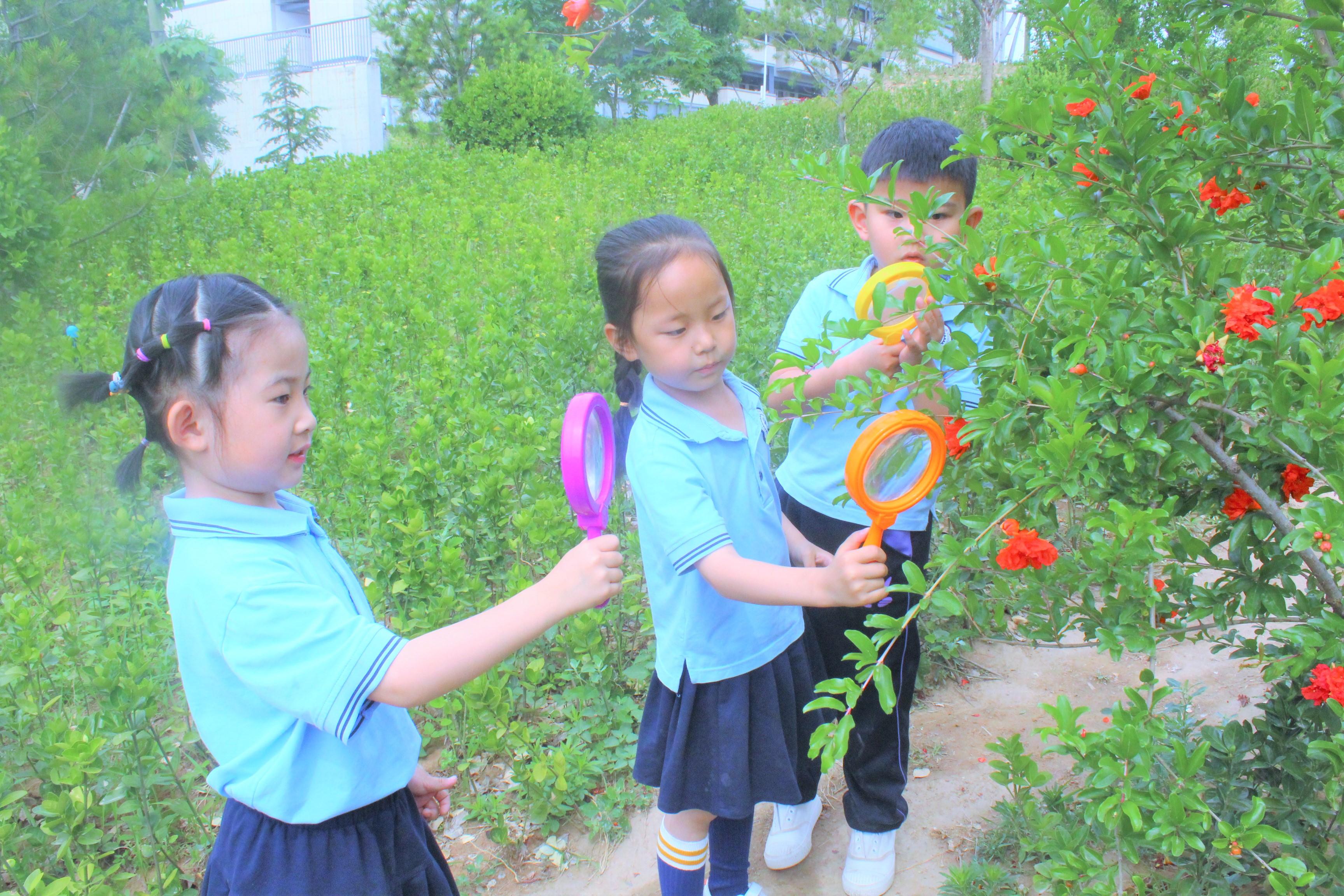 安吉幼儿园百度百科_安吉幼儿园_安吉幼儿园在哪儿