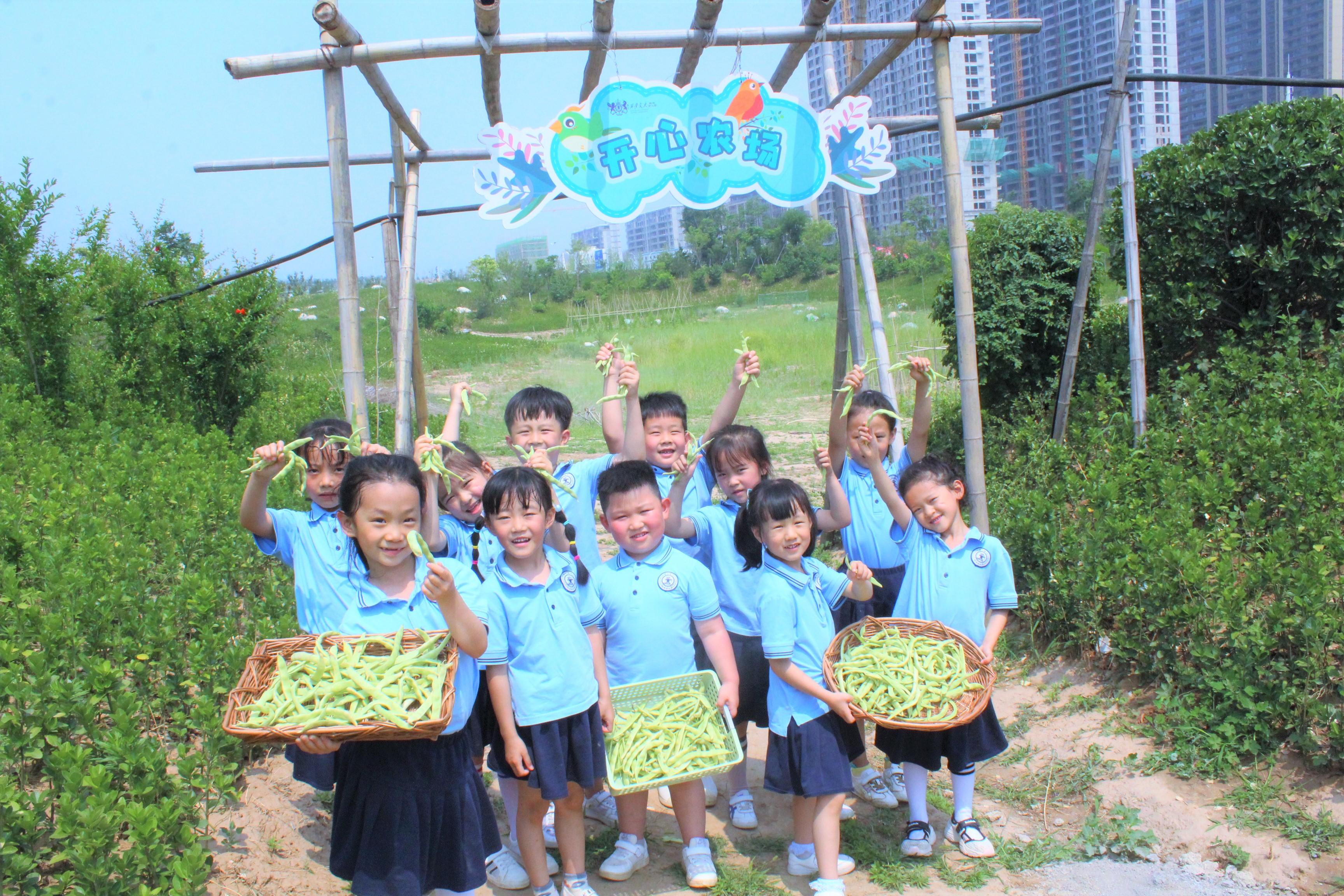 安吉幼儿园百度百科_安吉幼儿园_安吉幼儿园在哪儿