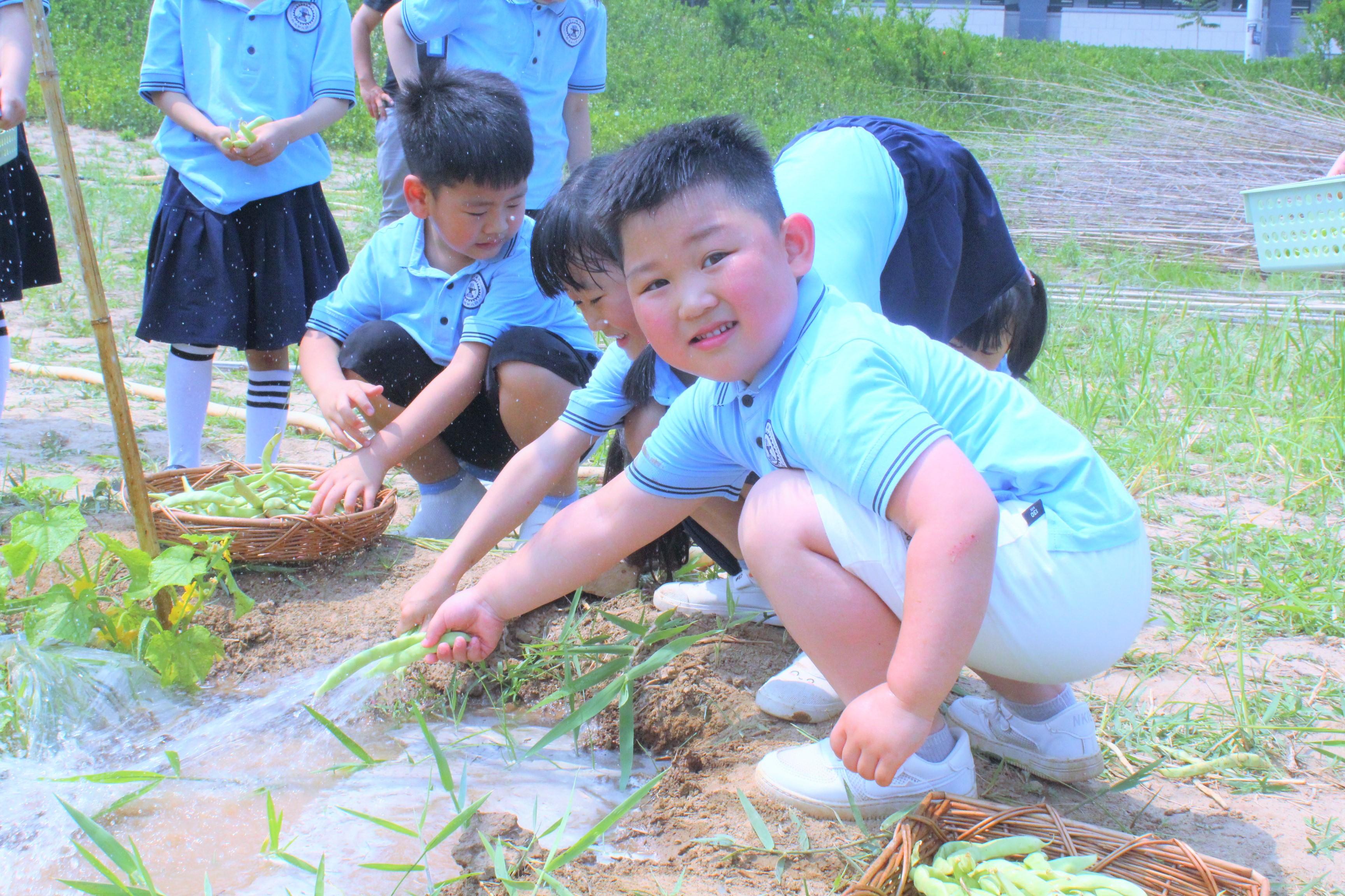 安吉幼儿园_安吉幼儿园在哪儿_安吉幼儿园百度百科