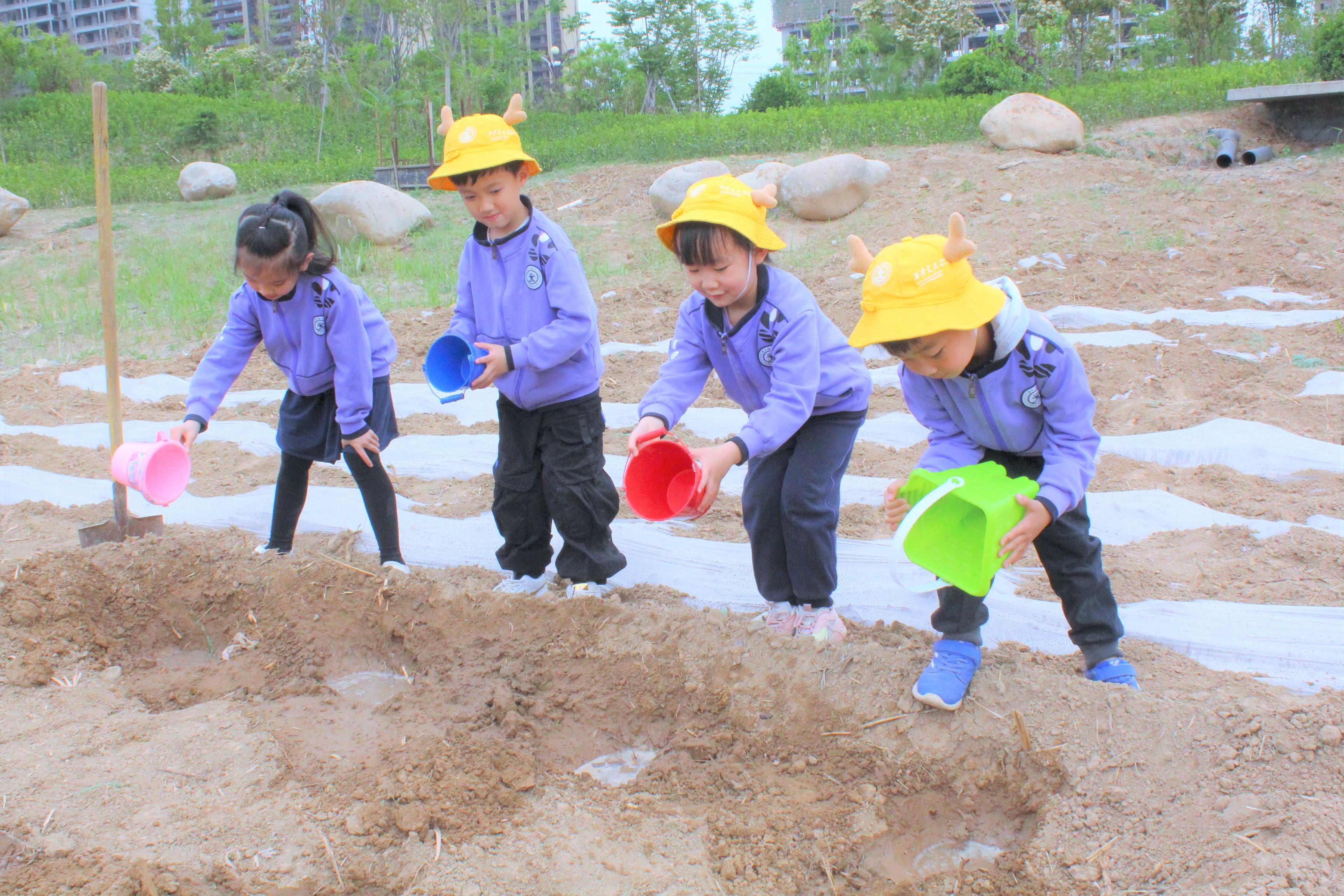 安吉幼儿园_安吉幼儿园百度百科_安吉幼儿园在哪儿