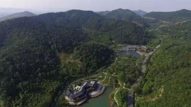 安吉竹林农家乐_安吉竹乡森林公园门票_安吉竹乡国家森林公园怎么样