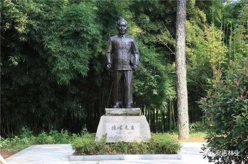 安吉竹乡国家森林公园怎么样_安吉竹乡森林公园门票_安吉竹林农家乐